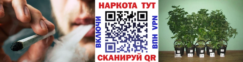 Купить наркотик Бронницы Альфа ПВП MDMA Меф ГАШ Бошки Шишки