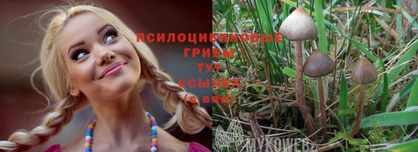 мет Бородино